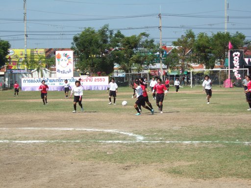 activity 17